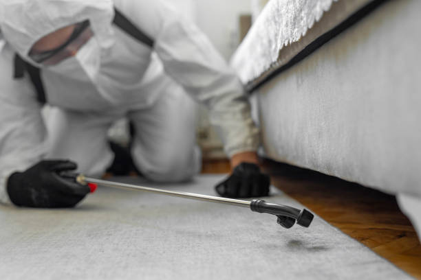 Professional Pest Control technician working in Parker County County, TX